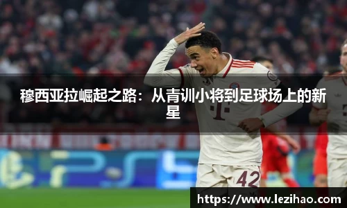 bsports必一体育